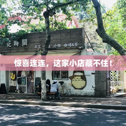 惊喜连连，这家小店藏不住！
