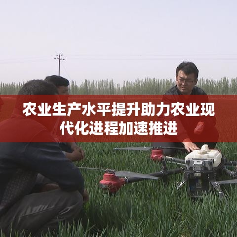 农业生产水平提升助力农业现代化进程加速推进