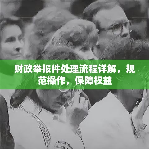 财政举报件处理流程详解，规范操作，保障权益