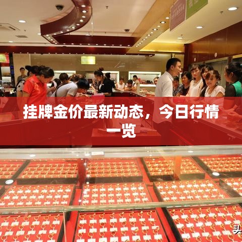 挂牌金价最新动态，今日行情一览