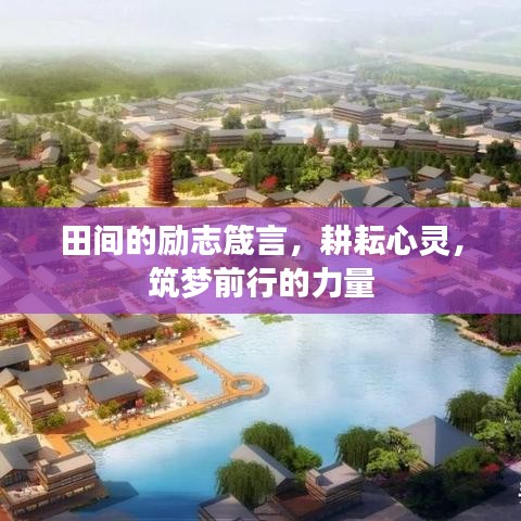 田间的励志箴言，耕耘心灵，筑梦前行的力量