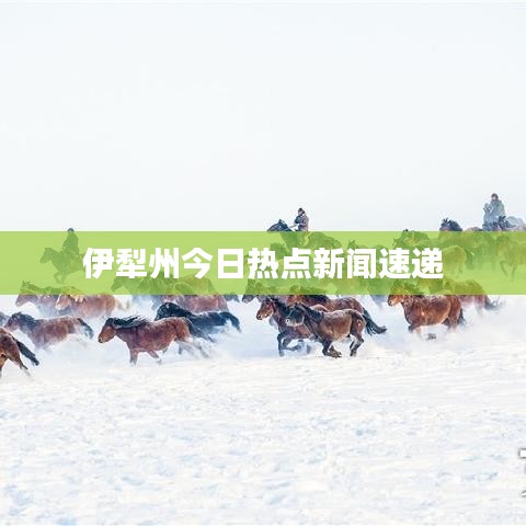 伊犁州今日热点新闻速递