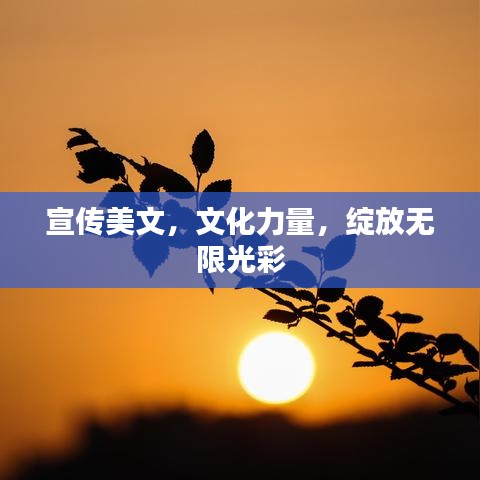 联系丰冠 第7页