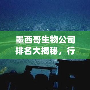 墨西哥生物公司排名大揭秘，行业影响力与未来发展潜力