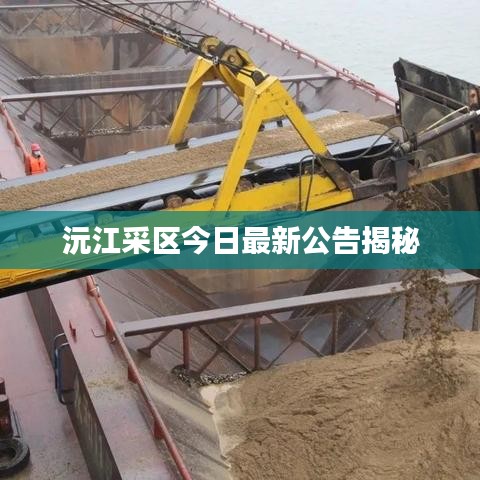 沅江采区今日最新公告揭秘