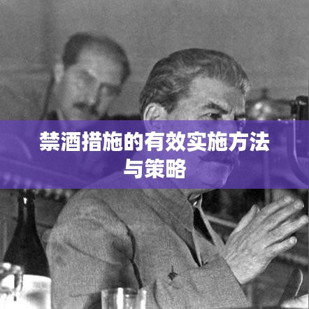 禁酒措施的有效实施方法与策略