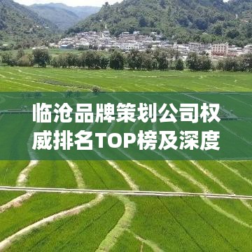 临沧品牌策划公司权威排名TOP榜及深度行业洞察揭秘