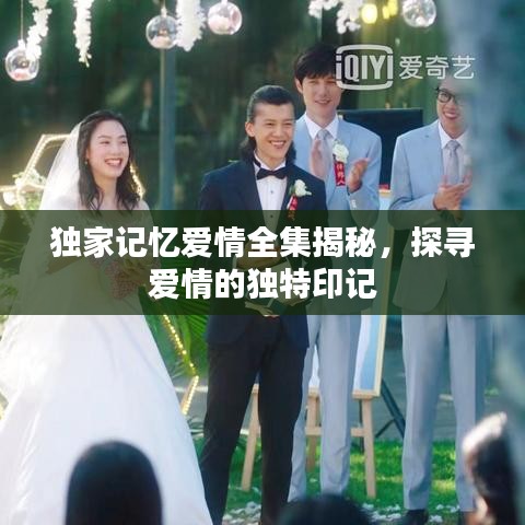 独家记忆爱情全集揭秘，探寻爱情的独特印记