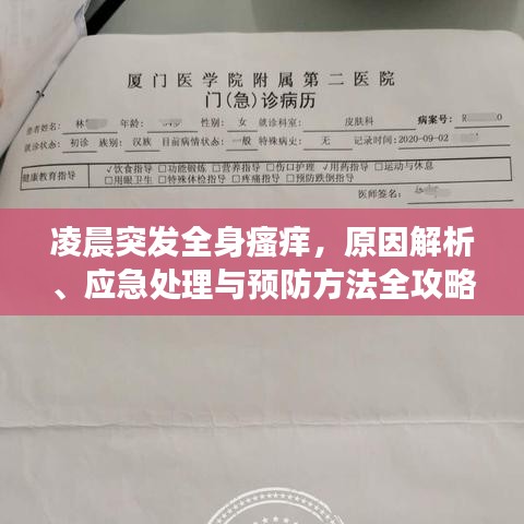 凌晨突发全身瘙痒，原因解析、应急处理与预防方法全攻略