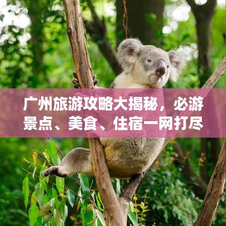 广州旅游攻略大揭秘，必游景点、美食、住宿一网打尽