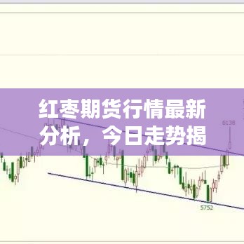 红枣期货行情最新分析，今日走势揭秘