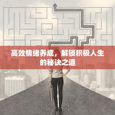 高效情绪养成，解锁积极人生的秘诀之道