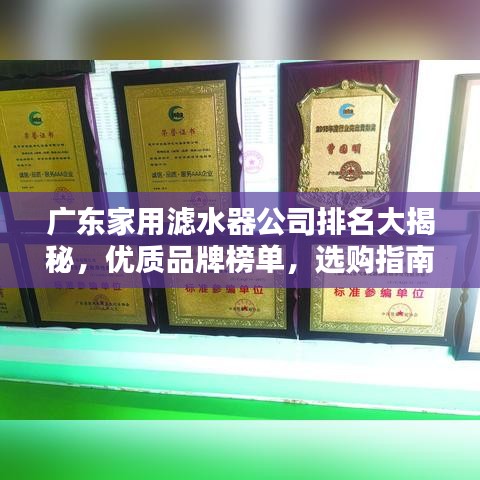 广东家用滤水器公司排名大揭秘，优质品牌榜单，选购指南！