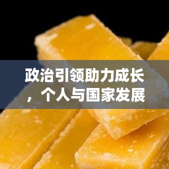 政治引领助力成长，个人与国家发展的双重驱动力