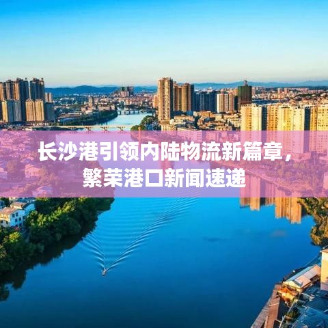 湿地挖机出租 第8页