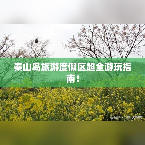 秦山岛旅游度假区超全游玩指南！
