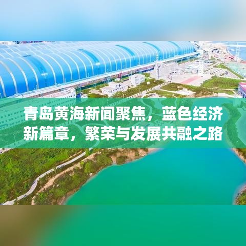 青岛黄海新闻聚焦，蓝色经济新篇章，繁荣与发展共融之路