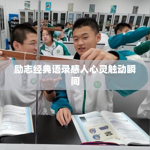 励志经典语录感人心灵触动瞬间