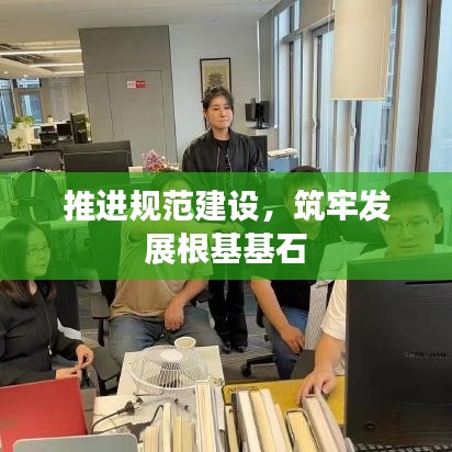 推进规范建设，筑牢发展根基基石