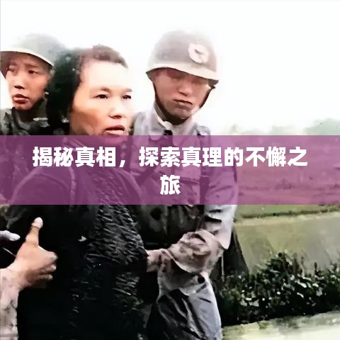 揭秘真相，探索真理的不懈之旅