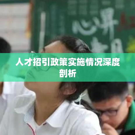 人才招引政策实施情况深度剖析