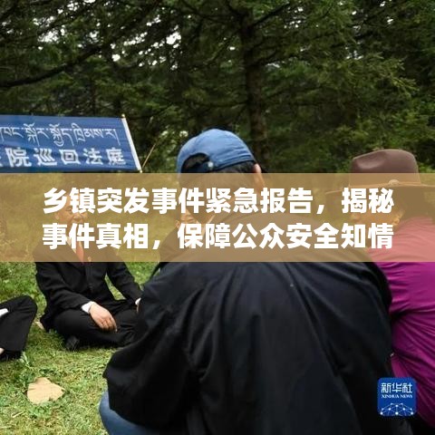 乡镇突发事件紧急报告，揭秘事件真相，保障公众安全知情权