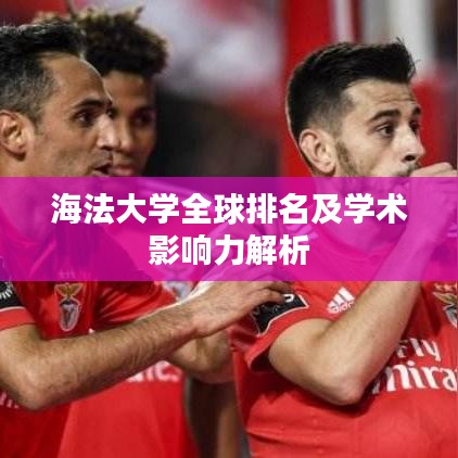 海法大学全球排名及学术影响力解析