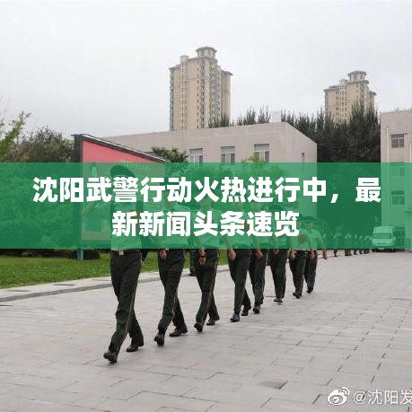沈阳武警行动火热进行中，最新新闻头条速览