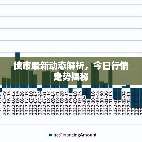 债市最新动态解析，今日行情走势揭秘