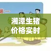 湘潭生猪价格实时更新，市场走势一目了然！