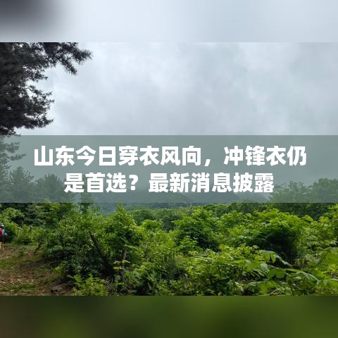 船挖出租 第7页