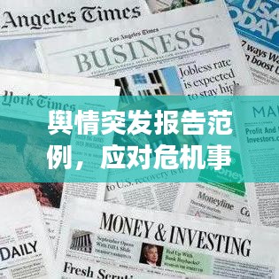 舆情突发报告范例，应对危机事件的策略与启示