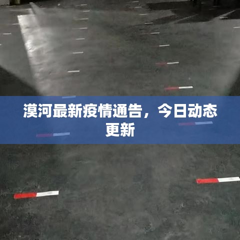 漠河最新疫情通告，今日动态更新