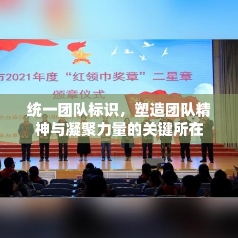 统一团队标识，塑造团队精神与凝聚力量的关键所在