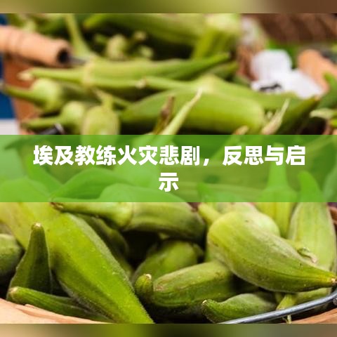埃及教练火灾悲剧，反思与启示