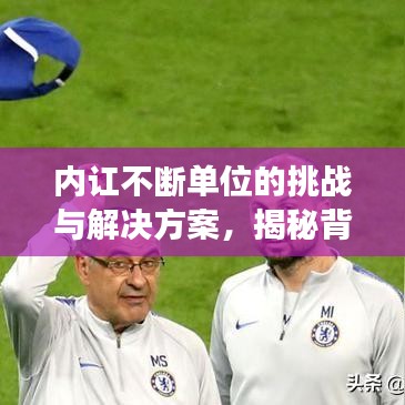 内讧不断单位的挑战与解决方案，揭秘背后的故事，寻求和谐之道