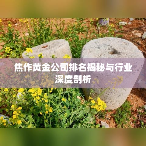 焦作黄金公司排名揭秘与行业深度剖析