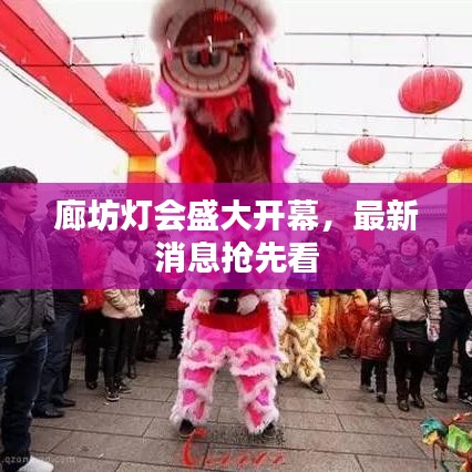 廊坊灯会盛大开幕，最新消息抢先看