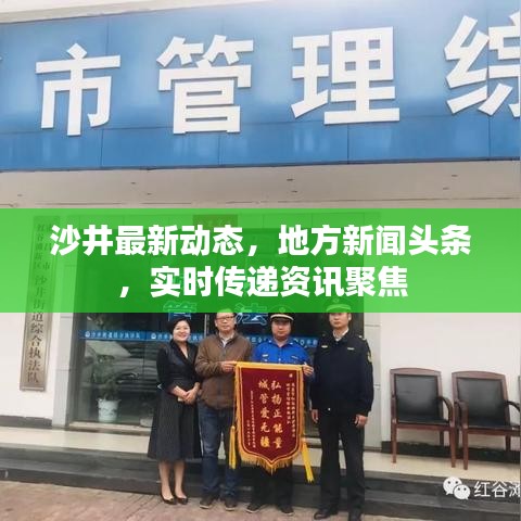 沙井最新动态，地方新闻头条，实时传递资讯聚焦