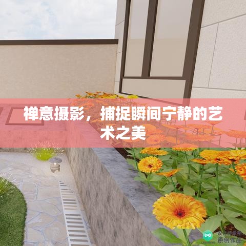 禅意摄影，捕捉瞬间宁静的艺术之美