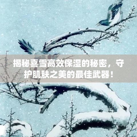 揭秘喜雪高效保湿的秘密，守护肌肤之美的最佳武器！