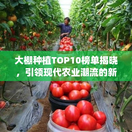 间不容发