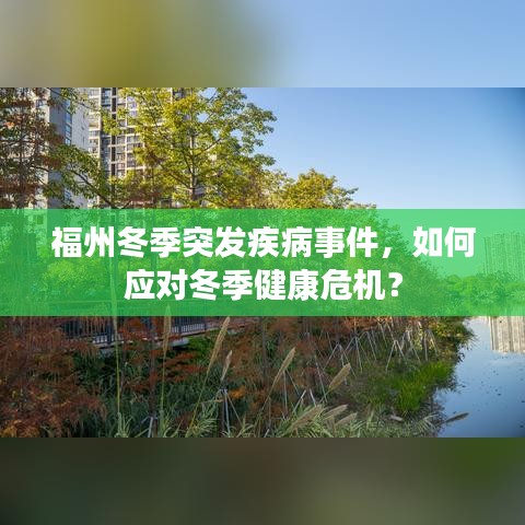 湿地挖机出租 第6页