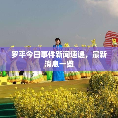 罗平今日事件新闻速递，最新消息一览