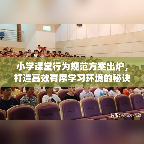 小学课堂行为规范方案出炉，打造高效有序学习环境的秘诀！