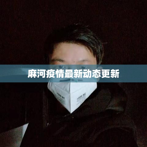 麻河疫情最新动态更新