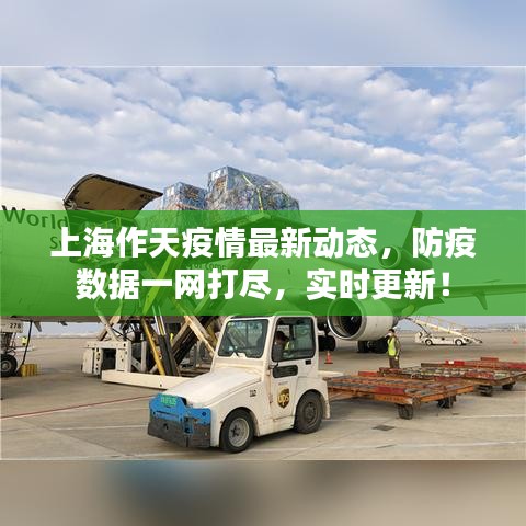 上海作天疫情最新动态，防疫数据一网打尽，实时更新！