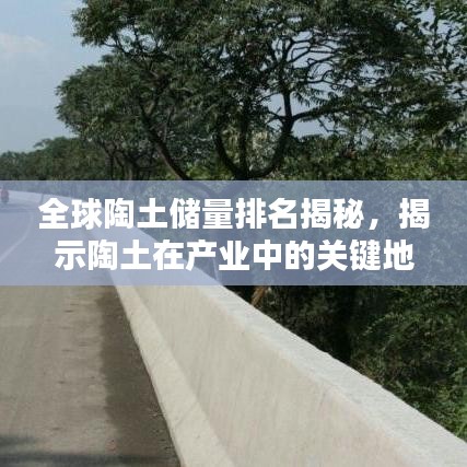 丰冠简介 第4页