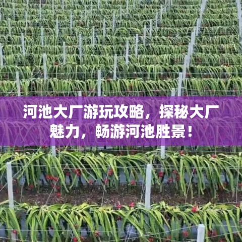 行业资讯 第5页