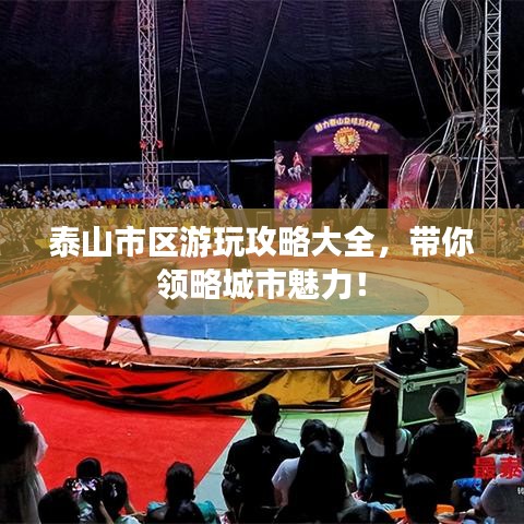 泰山市区游玩攻略大全，带你领略城市魅力！